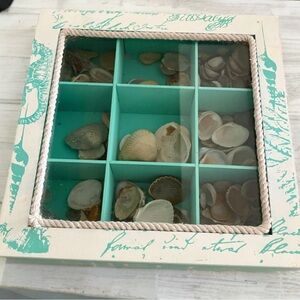 Decorative Shell Display Box with Glass Lid
